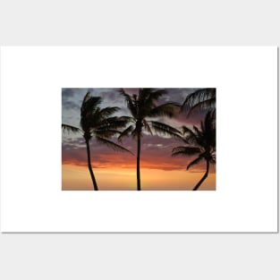 Tropical Sunset Posters and Art